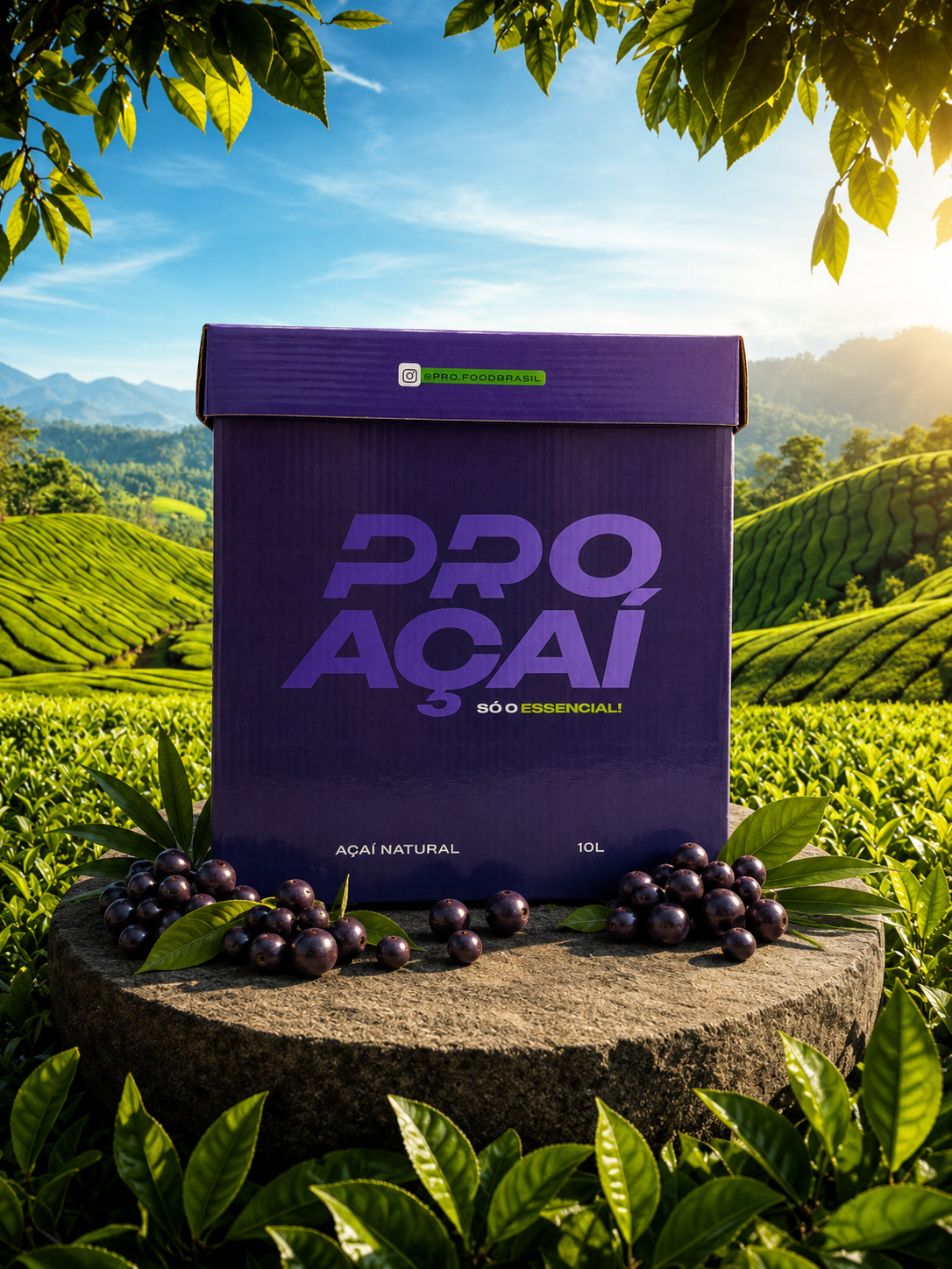 Caixa de 10L de açaí natural Pro Açaí em meio à natureza
